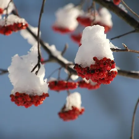 Haus Mattersberger Matrei in Osttirol