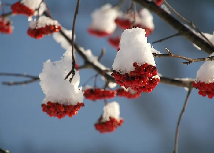 Haus Mattersberger Matrei in Osttirol